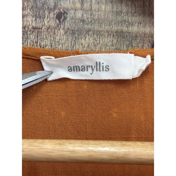 Amaryllis Rust Maxi Dress With Embroidered Floral Accents - Picture 3 of 6